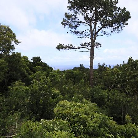 Vila Verde São Roque do Pico Exterior foto