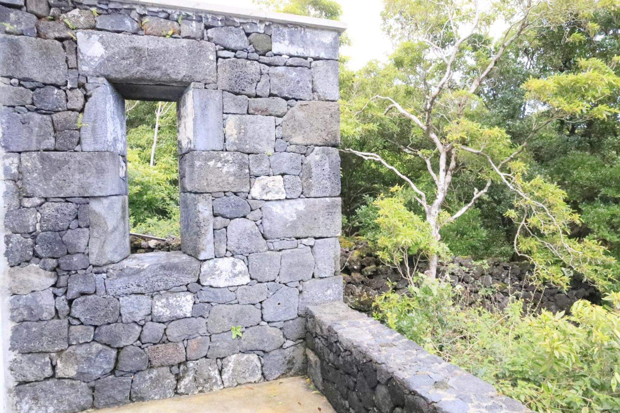 Vila Verde São Roque do Pico Exterior foto